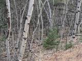 209 Hayes Street - Photo 5