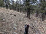 209 Hayes Street - Photo 7