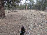 209 Hayes Street - Photo 9