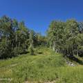 884 County Road 283 - Photo 4