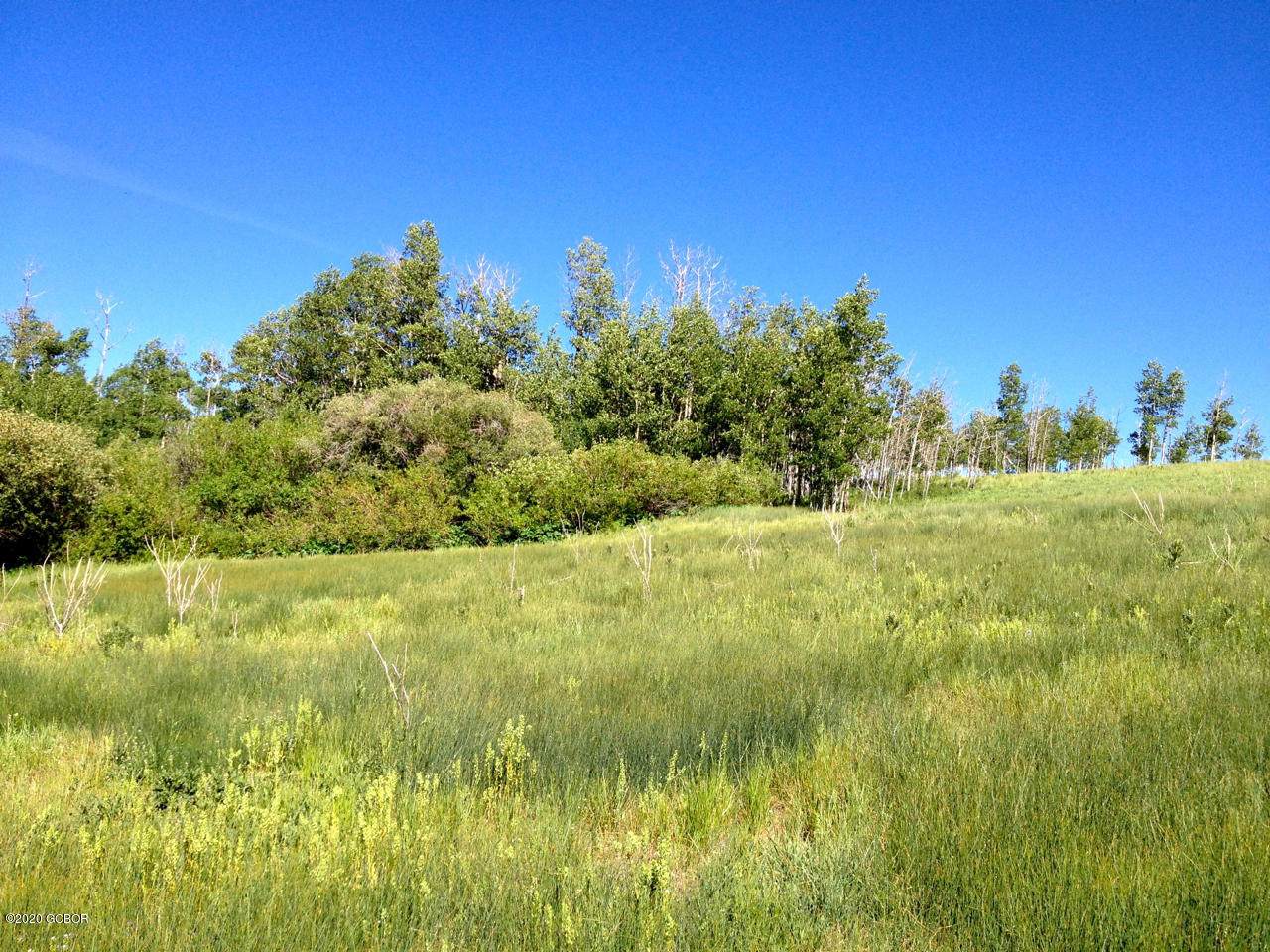 430 County Rd 195 - Photo 1