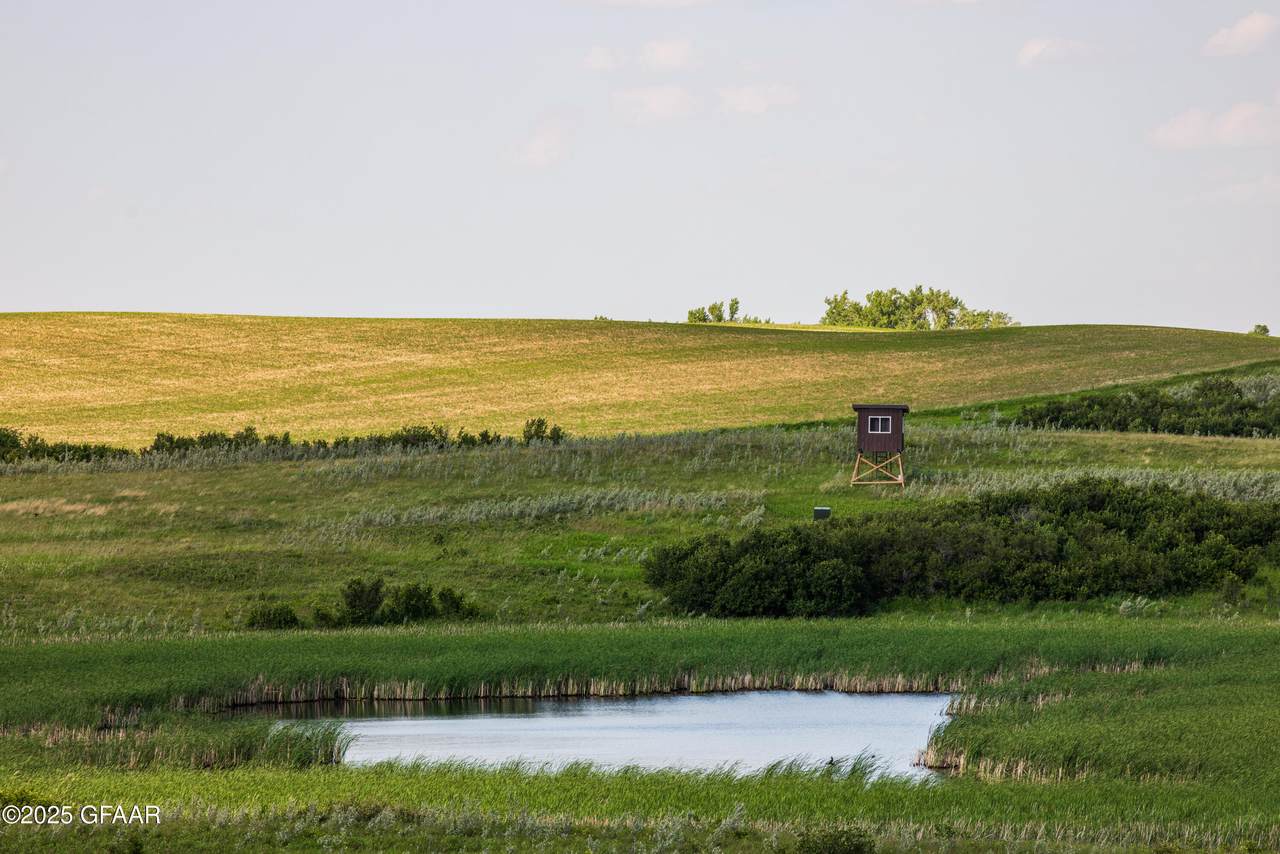 https://bt-photos.global.ssl.fastly.net/grandforks/1280_boomver_1_25-1080-2.jpg