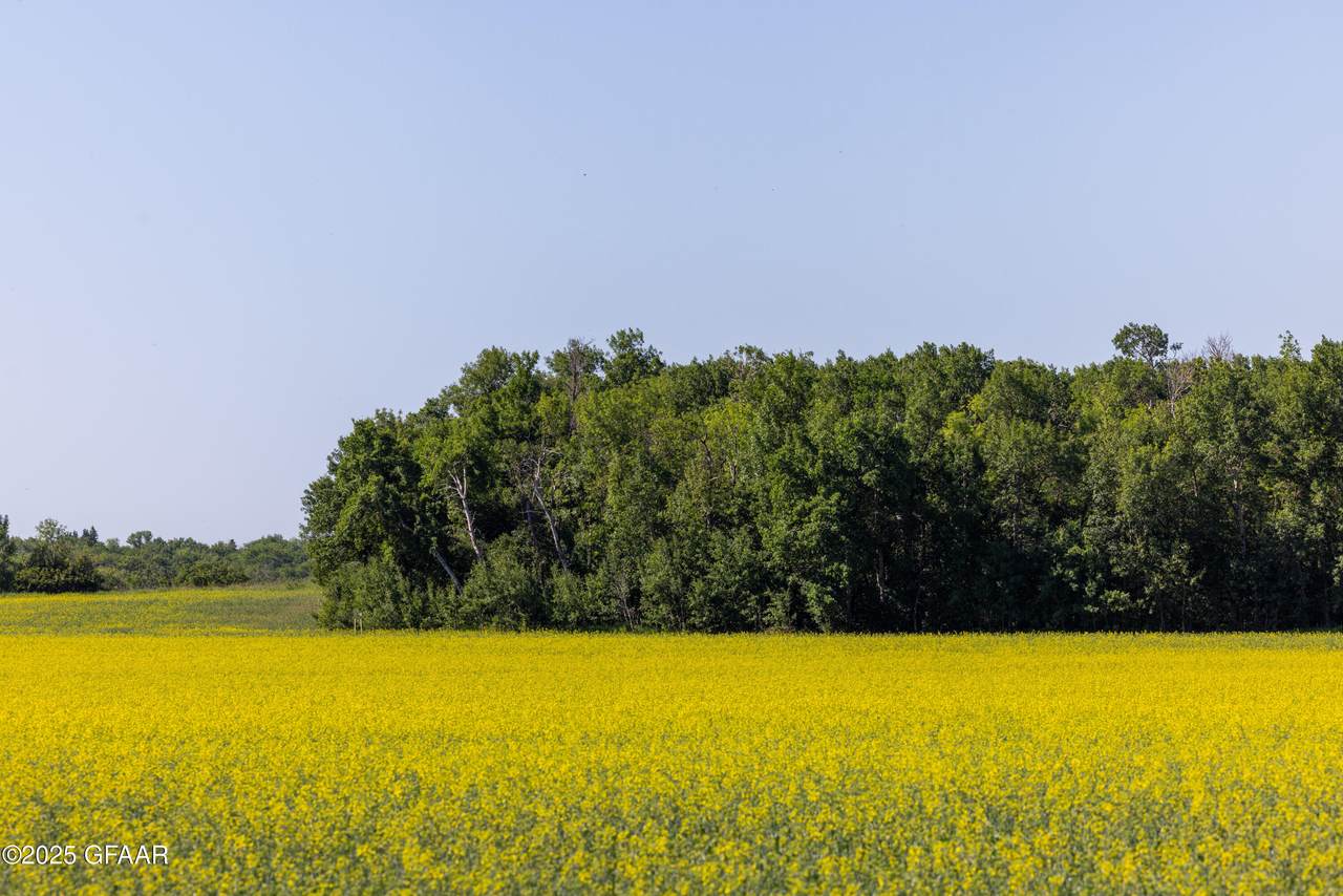 https://bt-photos.global.ssl.fastly.net/grandforks/1280_boomver_1_25-1083-2.jpg