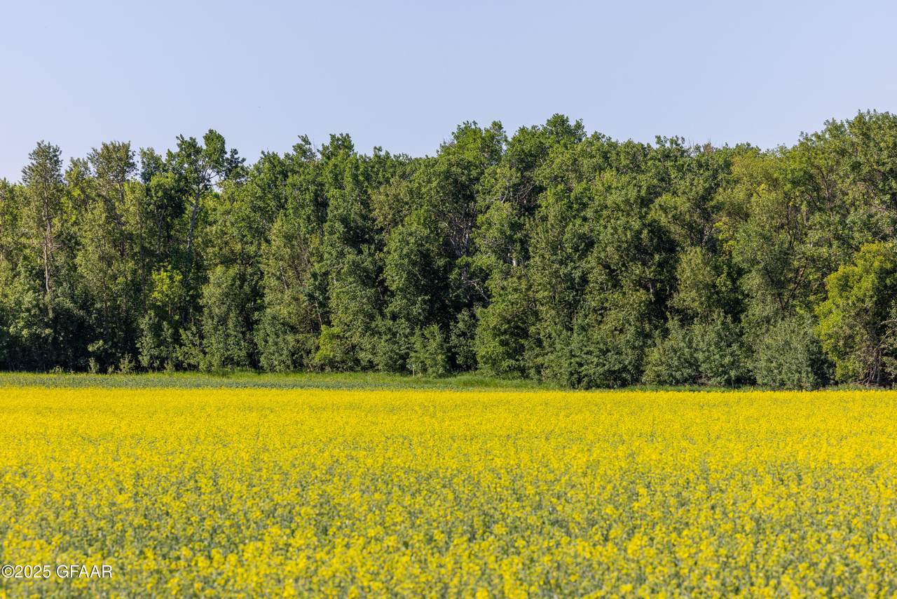 https://bt-photos.global.ssl.fastly.net/grandforks/1280_boomver_1_25-1083-2.jpg