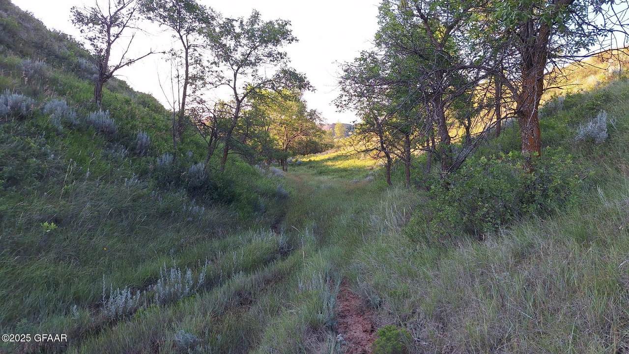 https://bt-photos.global.ssl.fastly.net/grandforks/1280_boomver_1_25-1143-2.jpg