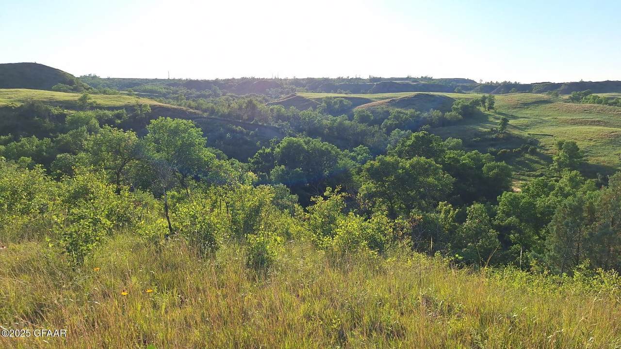 https://bt-photos.global.ssl.fastly.net/grandforks/1280_boomver_1_25-1143-2.jpg