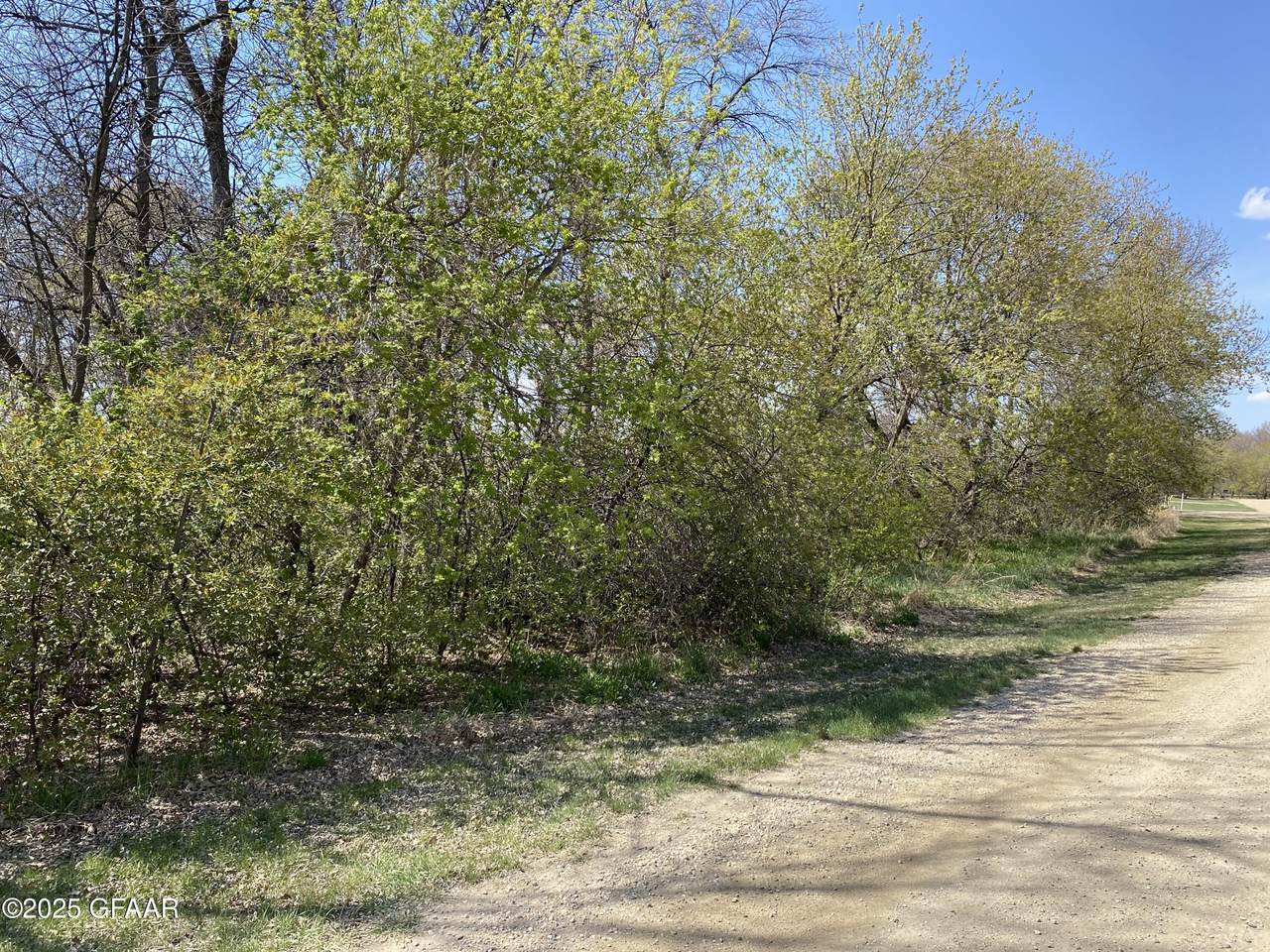 120 Palmer Road - Photo 1