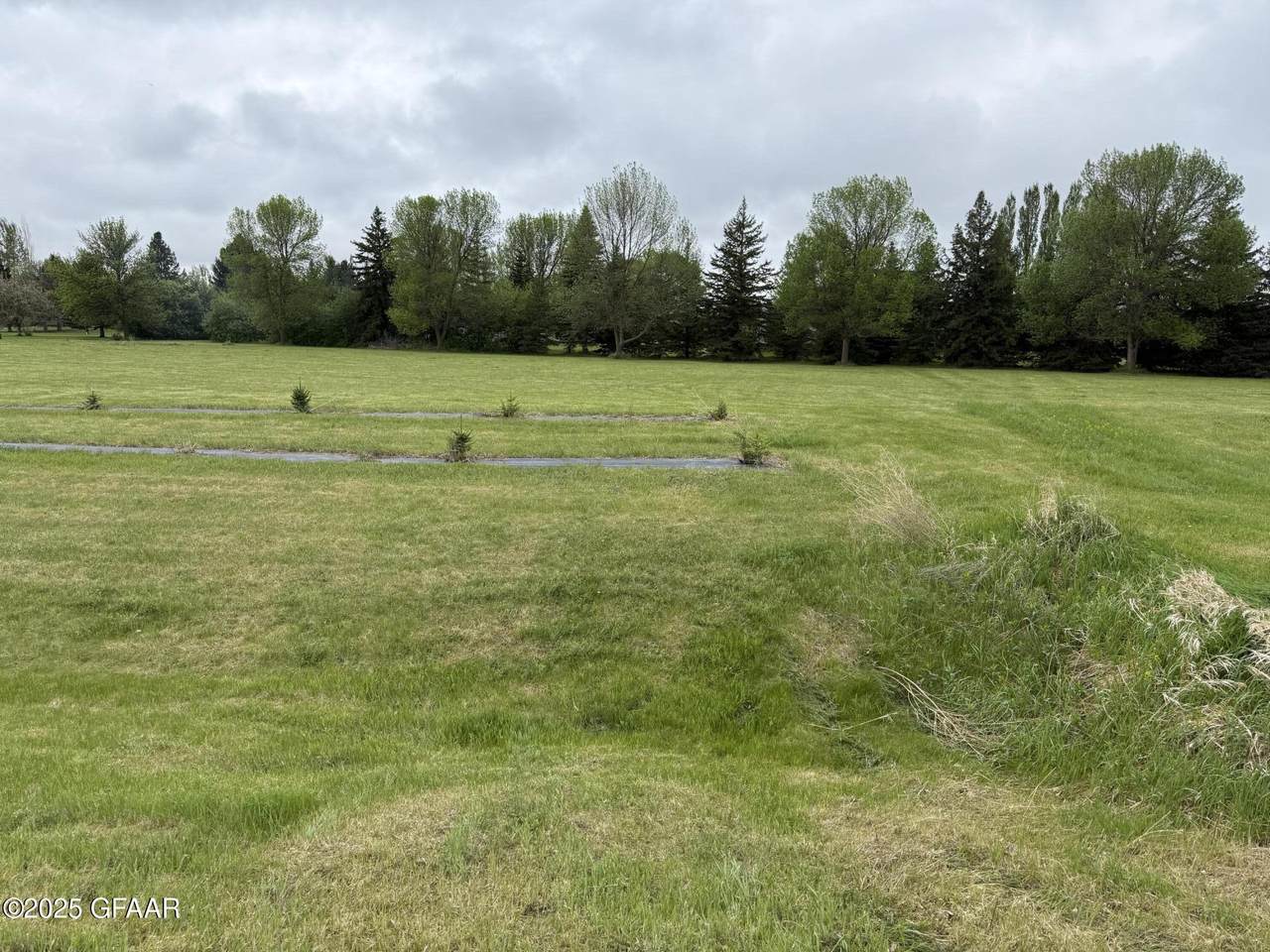 729 Ashley Lane - Photo 1