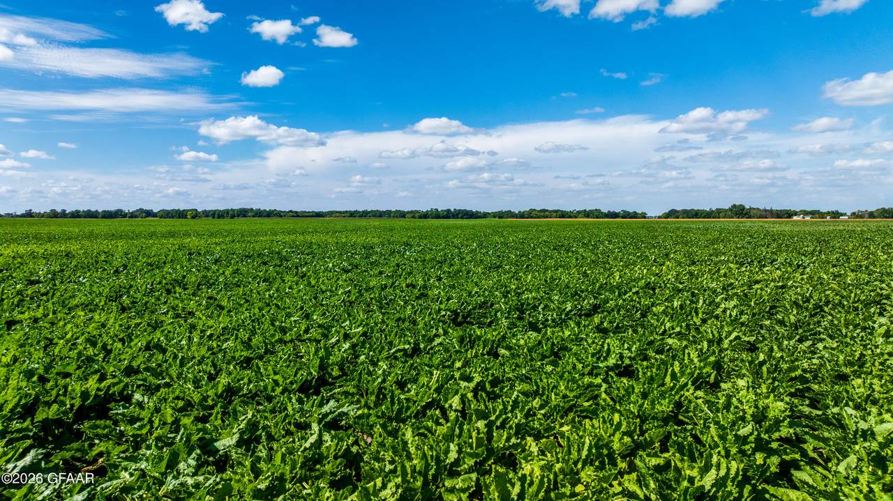 https://bt-photos.global.ssl.fastly.net/grandforks/1280_boomver_1_26-1308-2.jpg