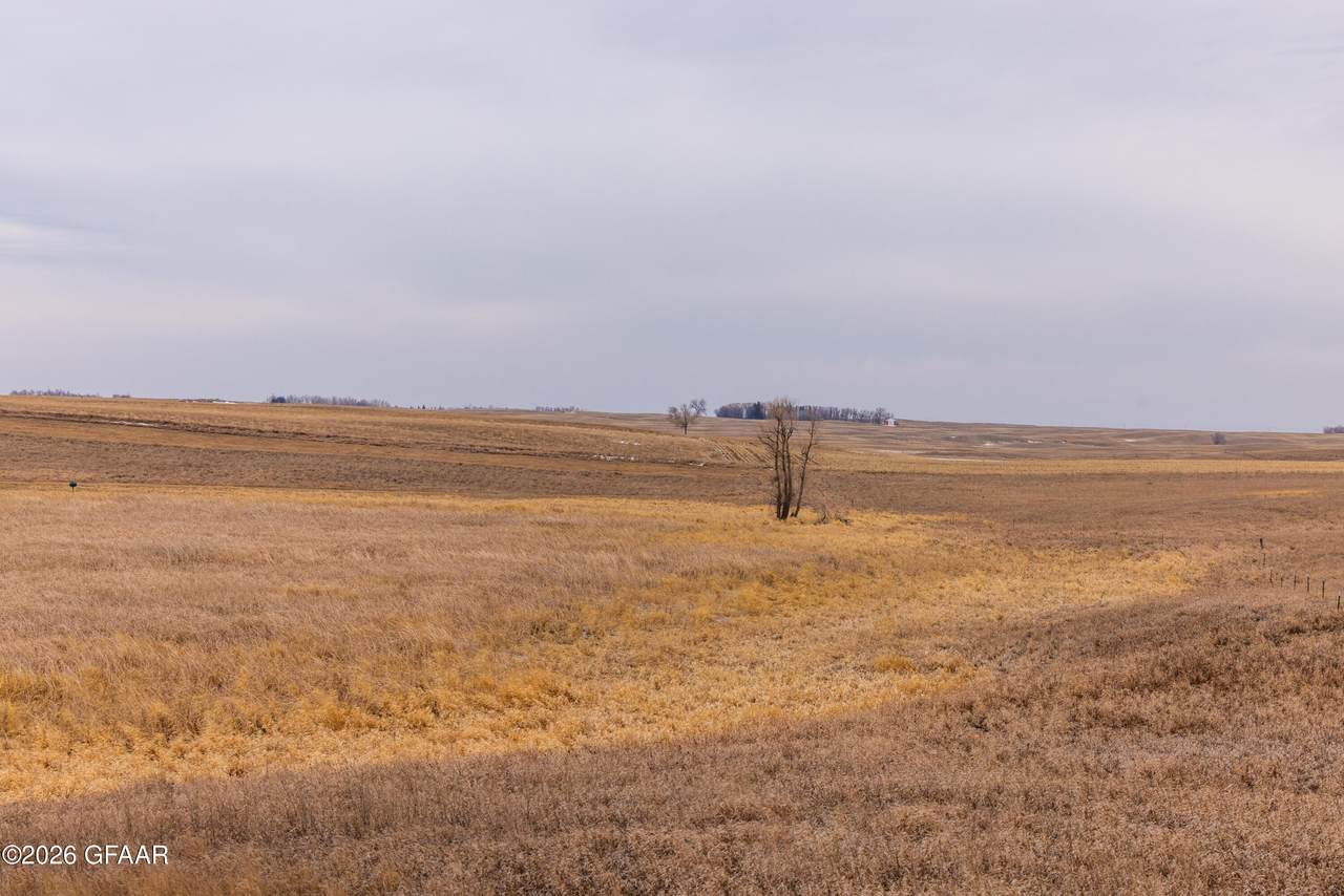 https://bt-photos.global.ssl.fastly.net/grandforks/1280_boomver_1_26-324-2.jpg