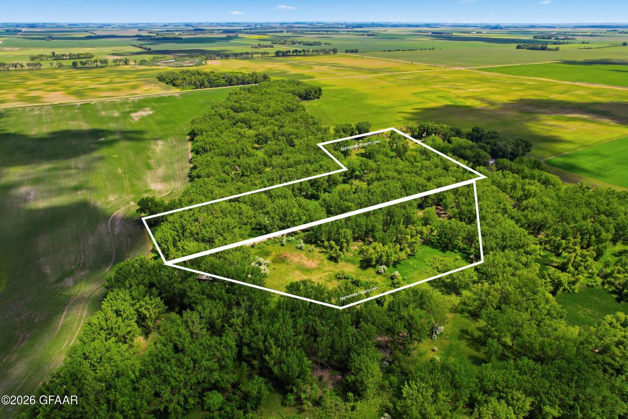 536 & 543 Shady Meadows Road - Photo 1