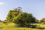 TBD 84 Street - Photo 45