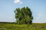 TBD 9 Avenue - Photo 113