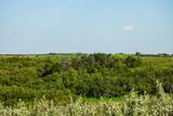 TBD 9 Avenue - Photo 125