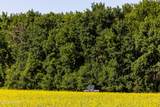 TBD Lake Road - Photo 2