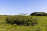 TBD Lake Road - Photo 38