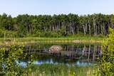TBD Lake Road - Photo 39