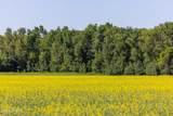 TBD Lake Road - Photo 4