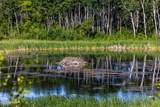 TBD Lake Road - Photo 40