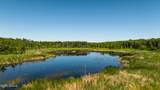 TBD Lake Road - Photo 46