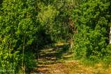 TBD Lake Road - Photo 51