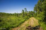 TBD Lake Road - Photo 52