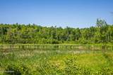 TBD Lake Road - Photo 54