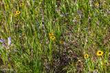 TBD Lake Road - Photo 60