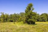 TBD Lake Road - Photo 66