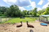 1223 151ST Avenue - Photo 59