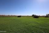 133 Adamsen Drive - Photo 53