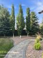 111 Whitetail Court - Photo 45