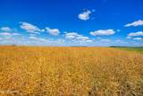 TBD 360TH Street - Photo 38