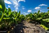 TBD 360TH Street - Photo 40