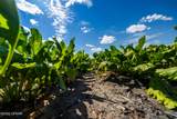 TBD 360TH Street - Photo 41