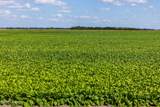 TBD 360TH Street - Photo 49