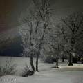 124 Park Street - Photo 55
