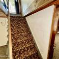 709 Jefferson Avenue - Photo 15