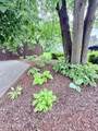 2901 Columbine Court - Photo 20