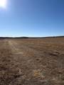 000 817th Road - Photo 6