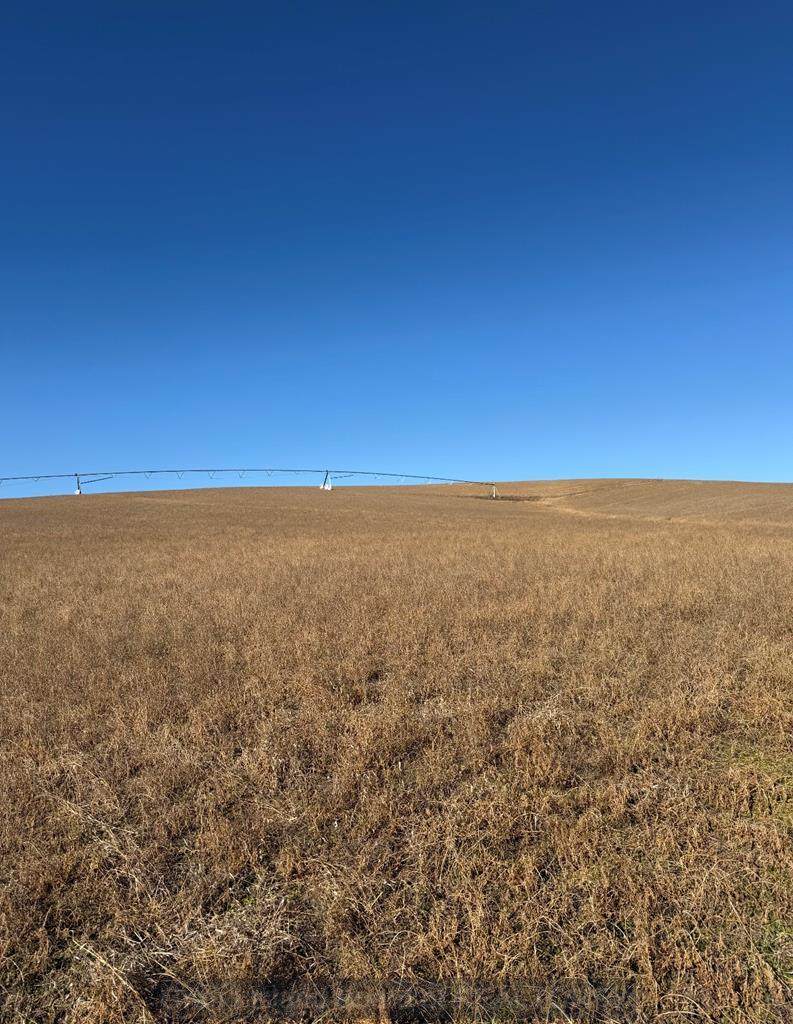 000 817th Road - Photo 1