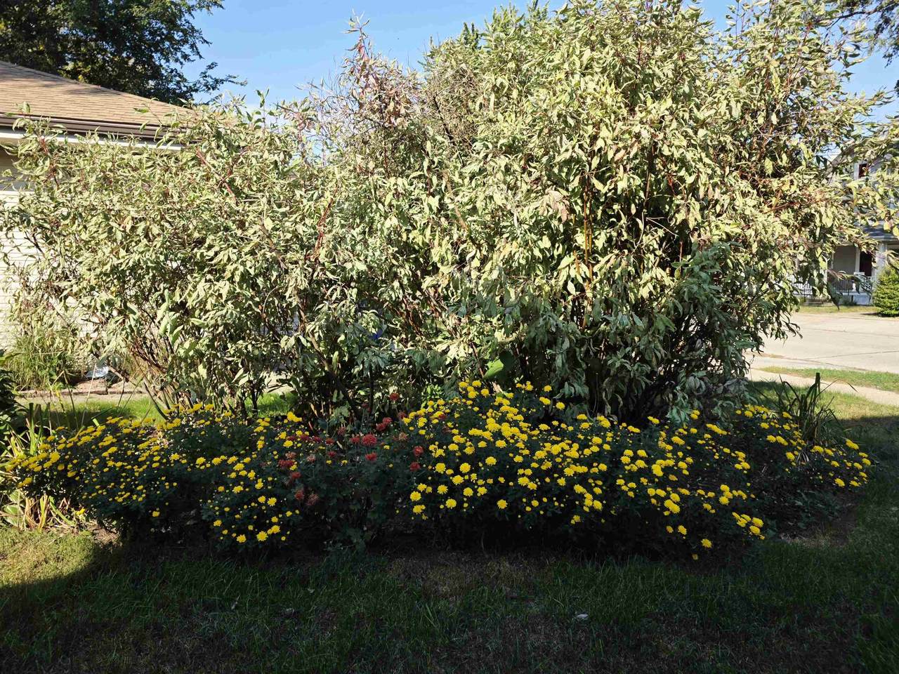 https://bt-photos.global.ssl.fastly.net/greatlakes/1280_boomver_1_251293-2.jpg