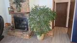 511 Sunrise Avenue - Photo 6