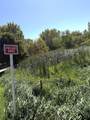 000 Tuttle Lake Ct - Photo 2