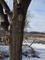 618 4th Street - Photo 46