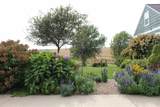 3865 Mace Avenue - Photo 7