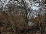 00 Hwy. 18 - Photo 8