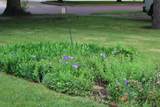 612 11th St - Photo 22