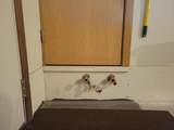 1940 23rd Street - Photo 34