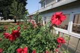 715 10th Street - Photo 48